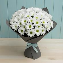 Букет цветов из:  Хризантемы #REPLACE_PRED# Тюменцево
