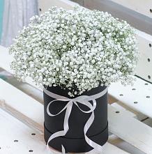 Цветочная композиция из Гипсофила в шляпной коробке #REPLACE_PRED# Тюменцево