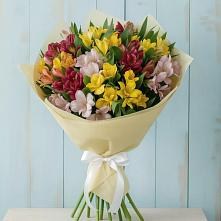 Букет цветов из:  Альстромерии в Тюменцево