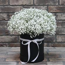Цветочная композиция из Гипсофила в шляпной коробке #REPLACE_PRED# Тюменцево
